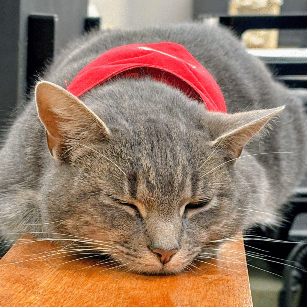 Fridays when the boss is out.