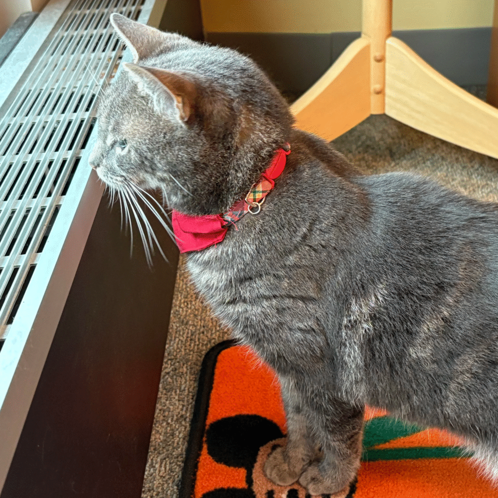 Really appreciating the birds eye view in her office.