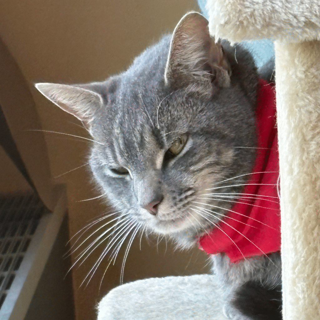 "Someone ate my lunch out of the staff fridge."