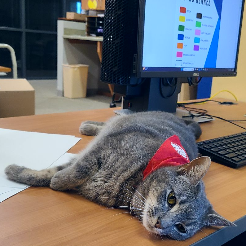 "This flyer needs work."