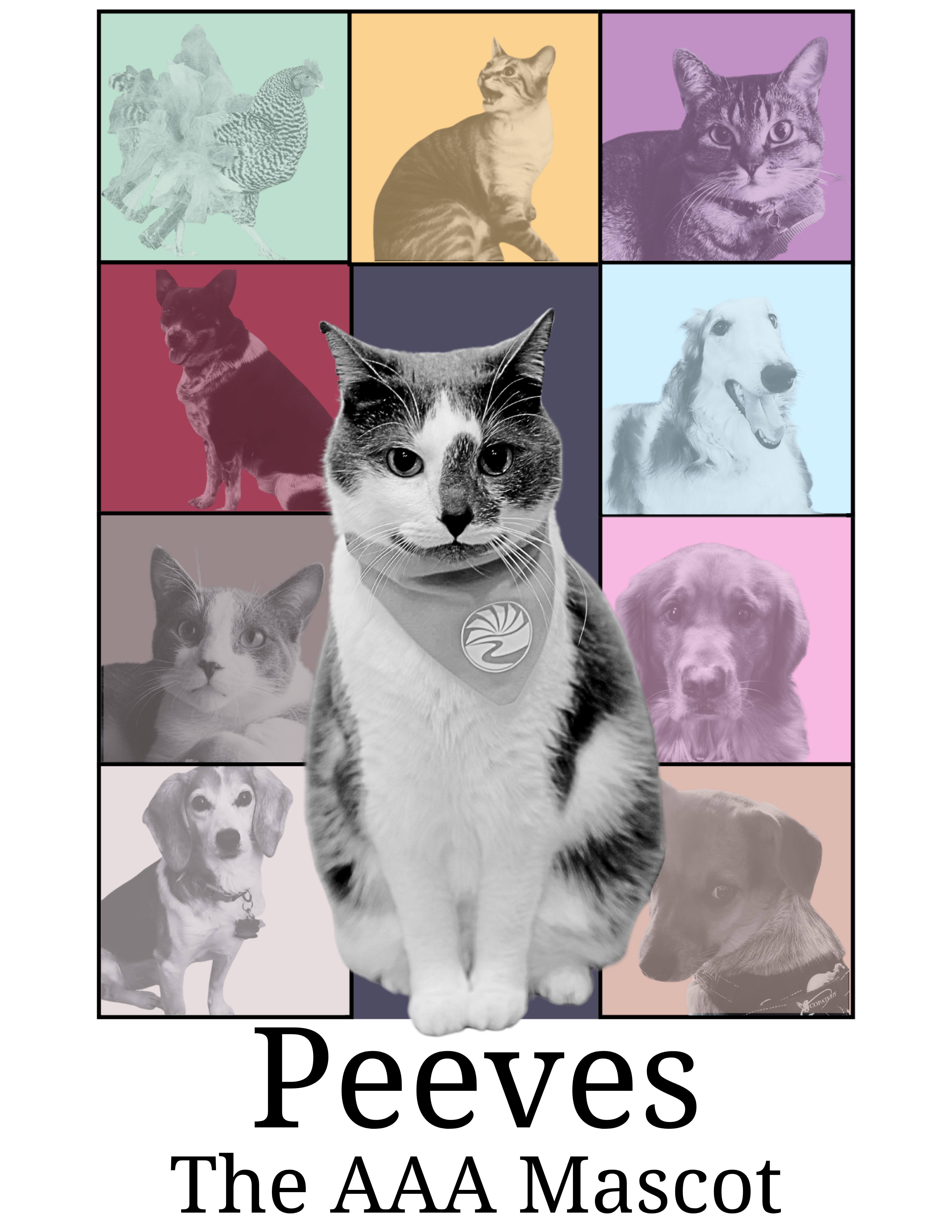9 animals are featured in colored squares around a central larger image of a cat, he is grey and white and wearing a bandana.